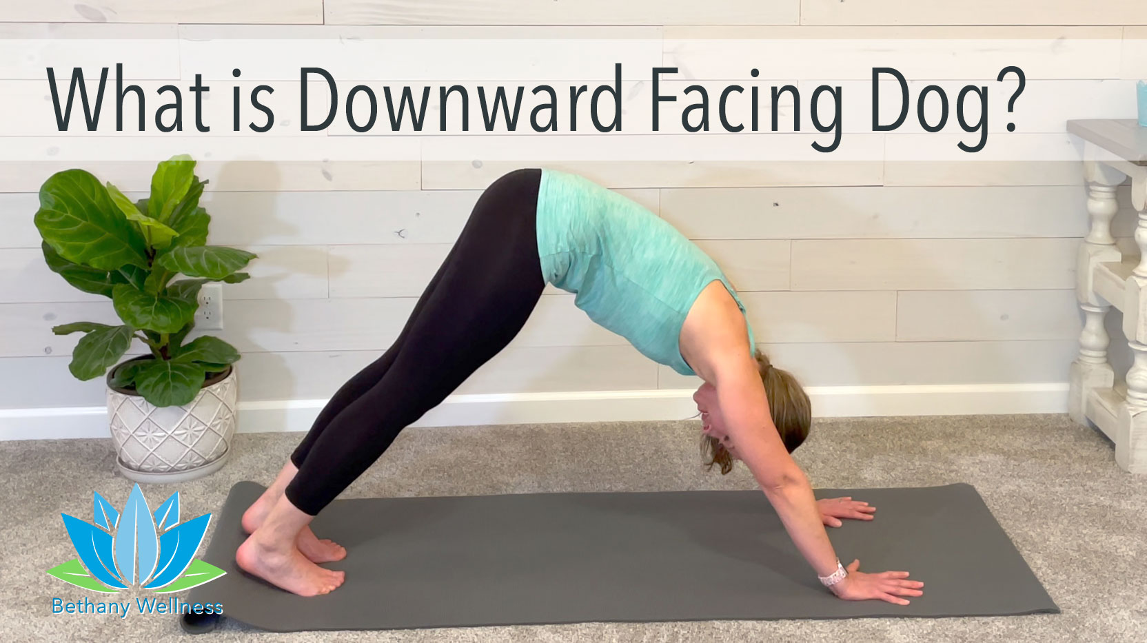 What is Downward Facing Dog?